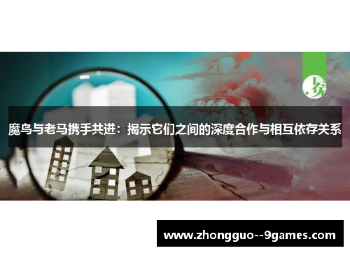 魔鸟与老马携手共进：揭示它们之间的深度合作与相互依存关系