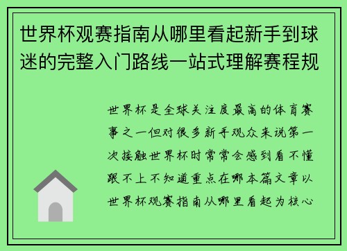 世界杯观赛指南从哪里看起新手到球迷的完整入门路线一站式理解赛程规则看点